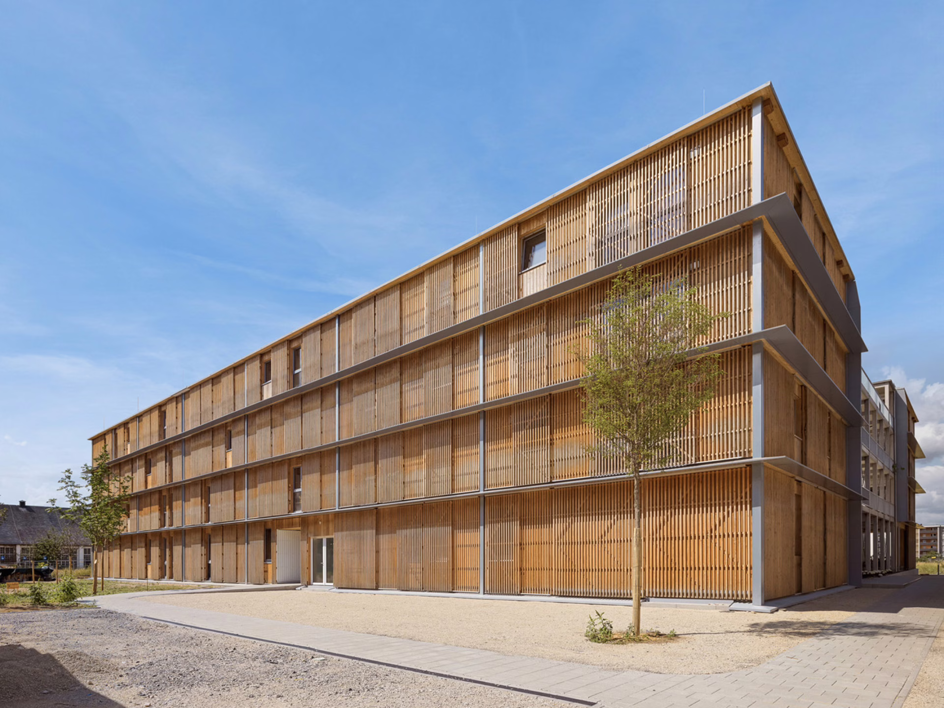 Collegium Academicum, Heidelberg | Tragwerksplanung, Bauphysik | DGJ Architektur GmbH | Fotografie: Thilo Ross