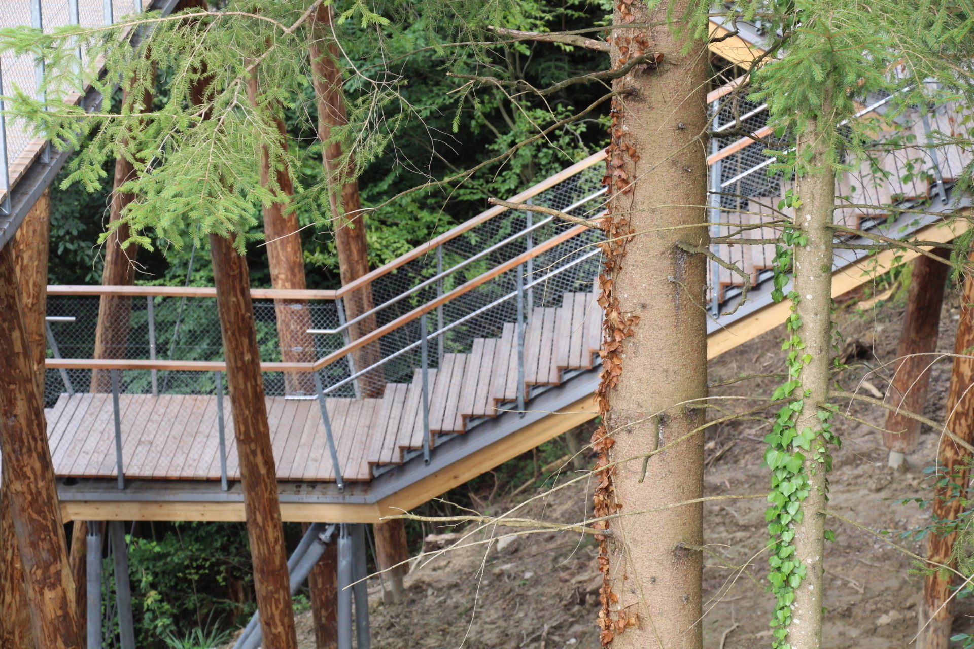 Die Rundholzstützen aus einheimischer Fichte fügen sich optisch ideal in den Wald ein.