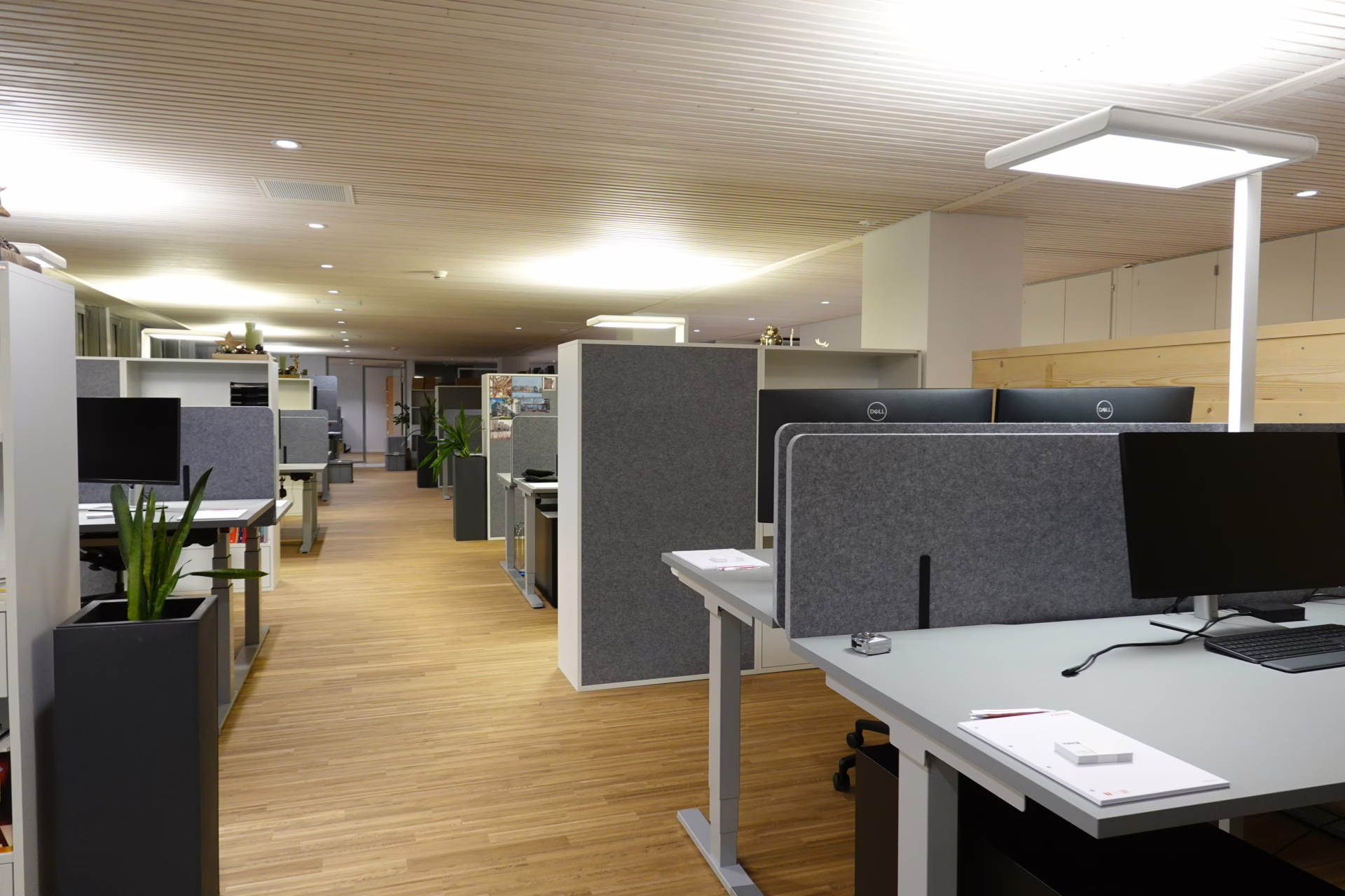 Das Büro an der Aarestrasse hat Platz für 24 Arbeitsplätze.